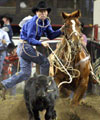 Tie Down Roping Information